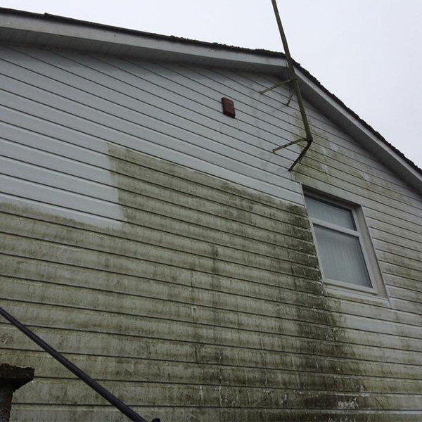 Fascia and soffits cleaning