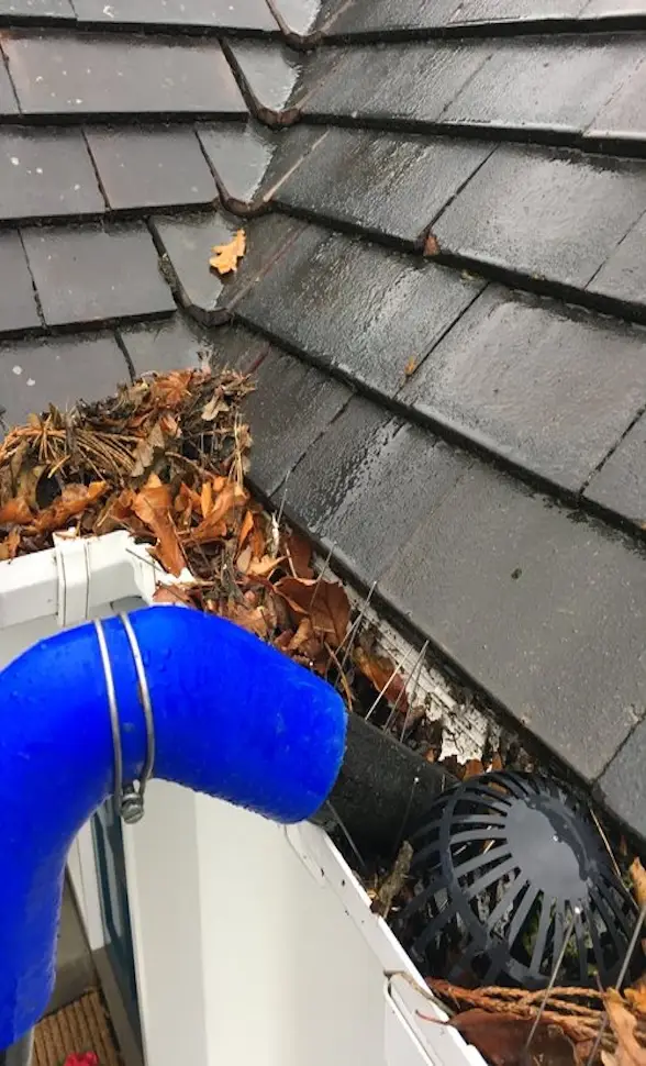 Gutter Cleaning Services