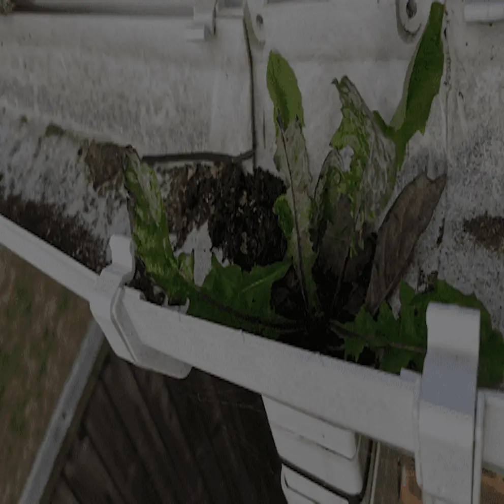 Cleaning The Downpipe Joints