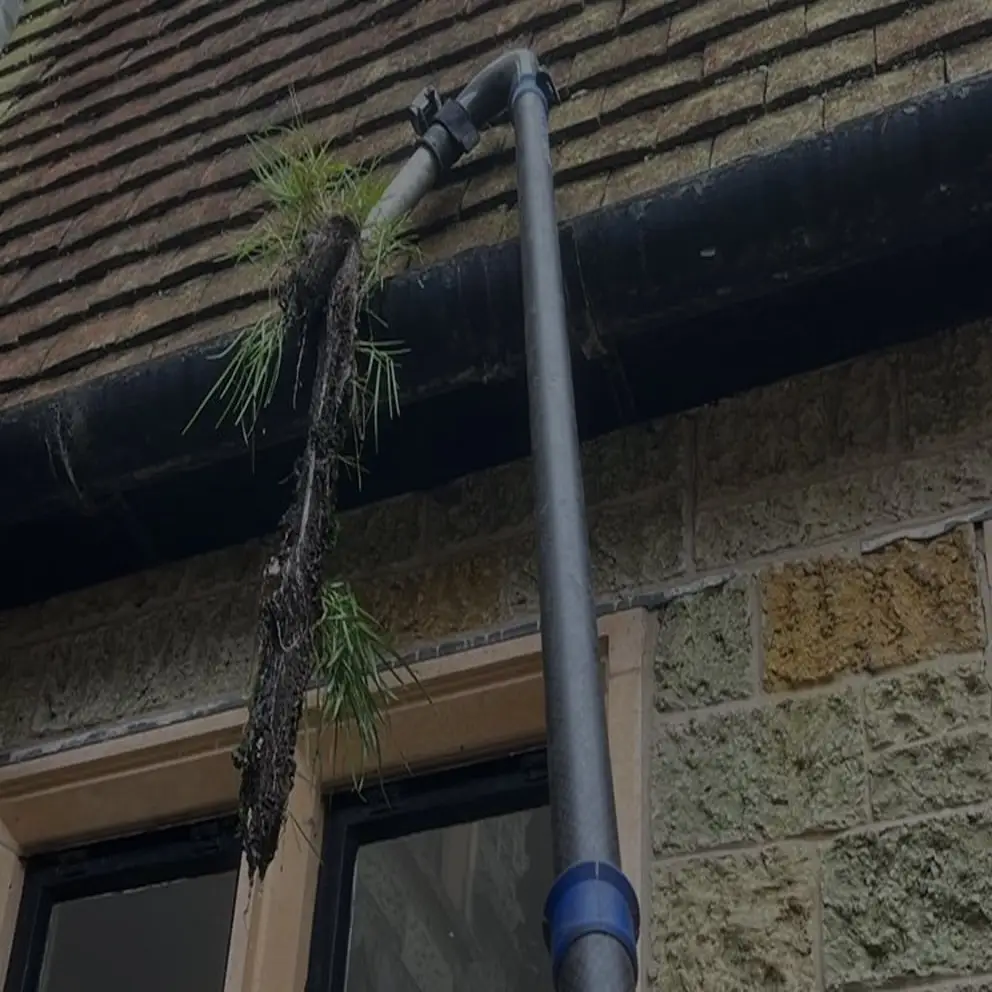 Debris Removal